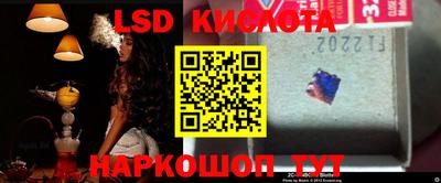 ПСИЛОЦИБИНОВЫЕ ГРИБЫ Гай