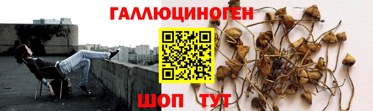 Галлюциногенные грибы мицелий  Вход с VPN  дарнет шоп  Трёхгорный 