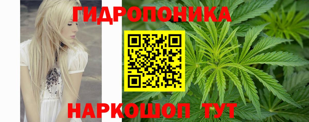 Каннабис ГИДРОПОН  Вход с VPN  Трёхгорный  МАРИХУАНА Bruce Banner 
